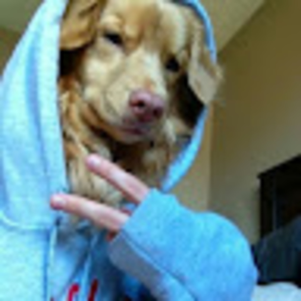 Meet your Posher, Alejandra